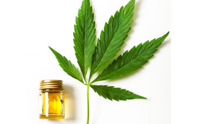 Hemp Oil and Atopic Dermatitis (eczema)