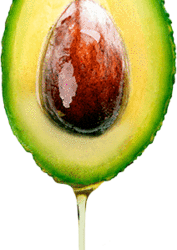 Avocado Oil – The Modern Fat
