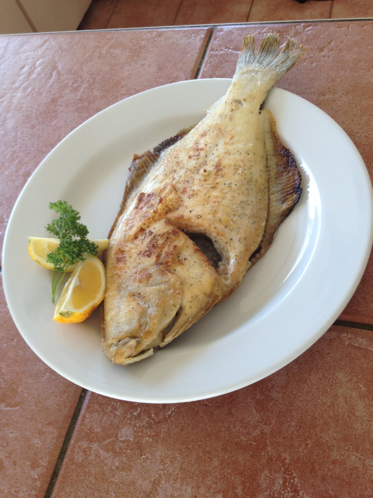Cocavo Pan Fried Flounder with Creole Seasoning Cocavo