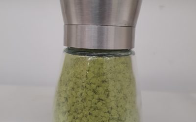 抹茶塩 Matcha Salt