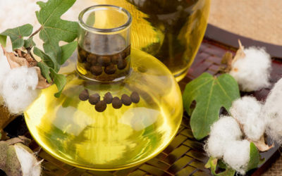 Cottonseed Oil – Great for Deep Frying