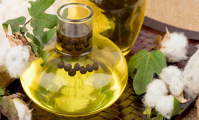 Cottonseed Oil – Great for Deep Frying