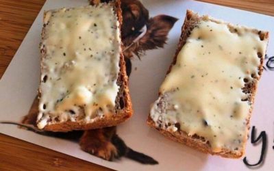 Cottage Cheese & Flaxseed Oil Spread