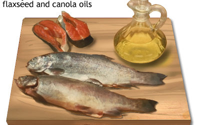 Why We Need Omega-3 Fatty Acids