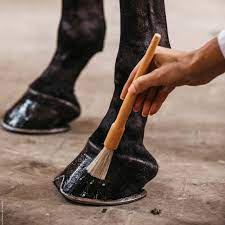 Hemp Seed Oil for Horses: A Natural Hoof Conditioner