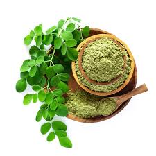 MORINGA LEAVES