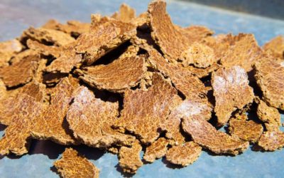 FLAX SEED FIBRE – FOODGRADE / ORGANIC