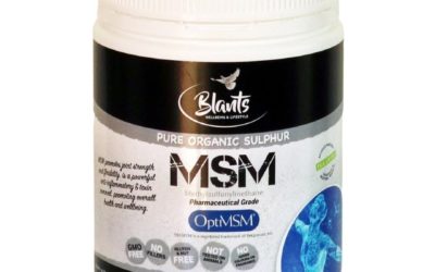 MSM ORGANIC SULPHUR