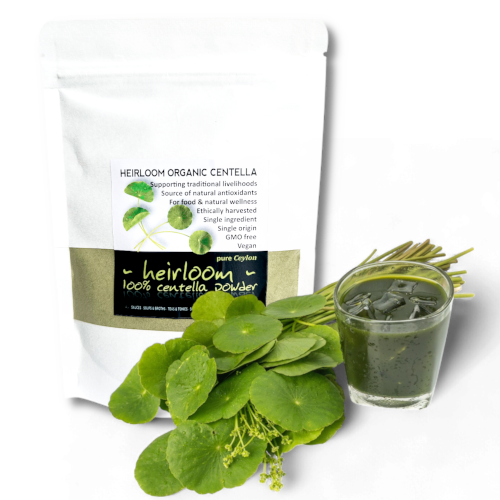 Centella-powder-with-leaves-centella-juice_500pxX500px