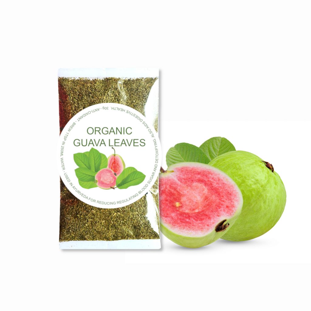 Guave-Leaves-tea-with-guava-fruit-and-leaf-in-background-500pxX500px-1024x1024